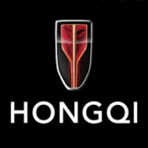 Hongqi E-HS9 2021 -